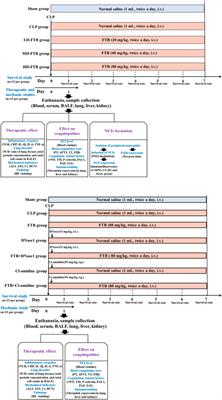 Forsythiaside B ameliorates coagulopathies in a rat model of sepsis through inhibition of the formation of PAD4-dependent neutrophil extracellular traps